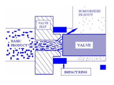 Pharmaceutical Homogenizer